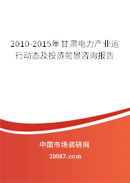 2010-2015年甘肃电力产业运行动态及投资前景咨询报告