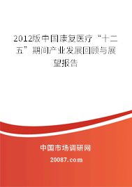 2012版中国康复医疗“十二五”期间产业发展回顾与展望报告