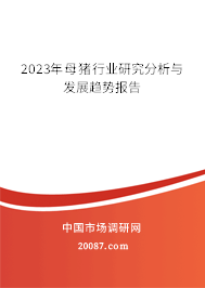 2023年母猪行业研究分析与发展趋势报告