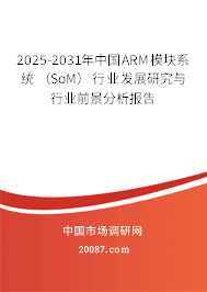 2025-2031年中国ARM模块系统 (SoM)行业发展研究与行业前景分析报告 2025-2031年中国ARM模块系统 (SoM)行业发展研究与行业前景分析报告