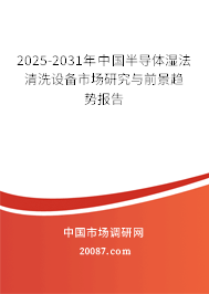 2025-2031年中国半导体湿法清洗设备市场研究与前景趋势报告