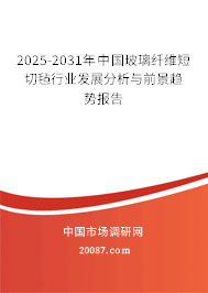 2025-2031年中国玻璃纤维短切毡行业发展分析与前景趋势报告 2025-2031年中国玻璃纤维短切毡行业发展分析与前景趋势报告