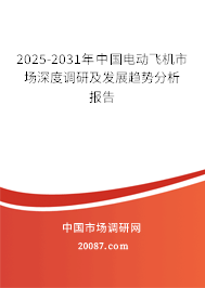 2025-2031年中国电动飞机市场深度调研及发展趋势分析报告
