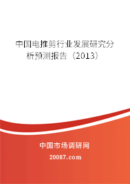 中国电推剪行业发展研究分析预测报告(2013) 中国电推剪行业发展研究分析预测报告(2013)
