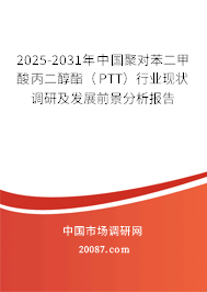 2025-2031年中国聚对苯二甲酸丙二醇酯(PTT)行业现状调研及发展前景分析报告 2025-2031年中国聚对苯二甲酸丙二醇酯(PTT)行业现状调研及发展前景分析报告