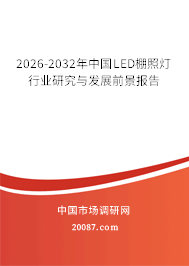 2026-2032年中国LED棚照灯行业研究与发展前景报告