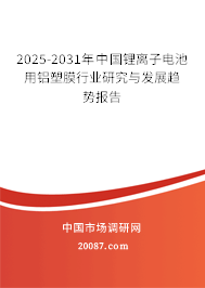 2025-2031年中国锂离子电池用铝塑膜行业研究与发展趋势报告