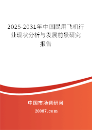 2025-2031年中国民用飞机行业现状分析与发展前景研究报告
