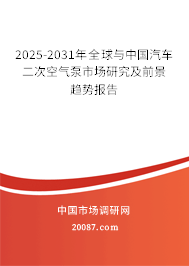 2025-2031年全球与中国汽车二次空气泵市场研究及前景趋势报告