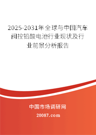2025-2031年全球与中国汽车阀控铅酸电池行业现状及行业前景分析报告