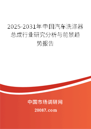 2025-2031年中国汽车洗涤器总成行业研究分析与前景趋势报告