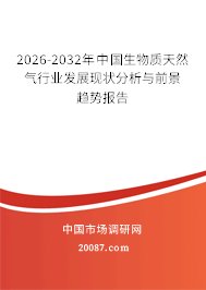 2026-2032年中国生物质天然气行业发展现状分析与前景趋势报告