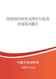 碳酸钠供需状况预测与投资规划咨询报告 碳酸钠供需状况预测与投资规划咨询报告