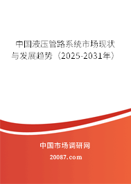 中国液压管路系统市场现状与发展趋势（2025-2031年）