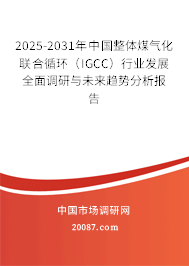 2025-2031年中国整体煤气化联合循环(IGCC)行业发展全面调研与未来趋势分析报告 2025-2031年中国整体煤气化联合循环(IGCC)行业发展全面调研与未来趋势分析报告